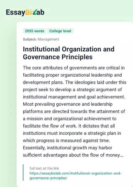 Institutional Organization and Governance Principles - Essay Preview