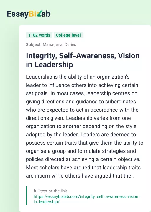 Integrity, Self-Awareness, Vision in Leadership - Essay Preview