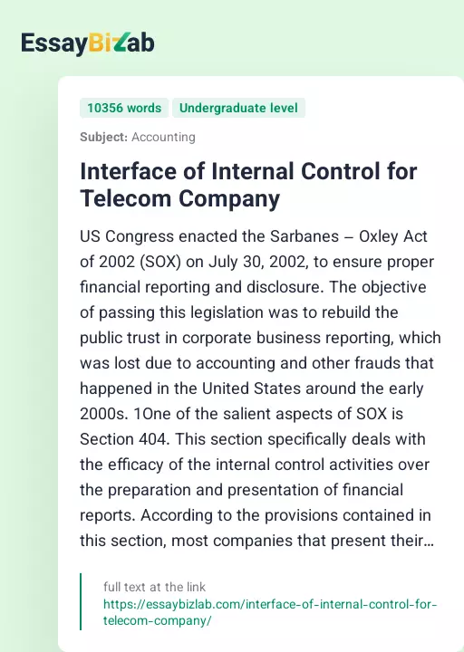 Interface of Internal Control for Telecom Company - Essay Preview