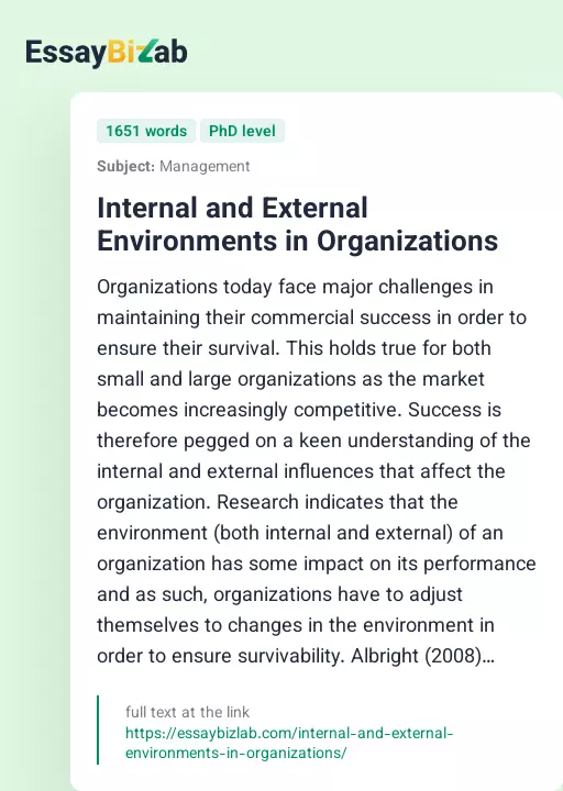 Internal and External Environments in Organizations - Essay Preview
