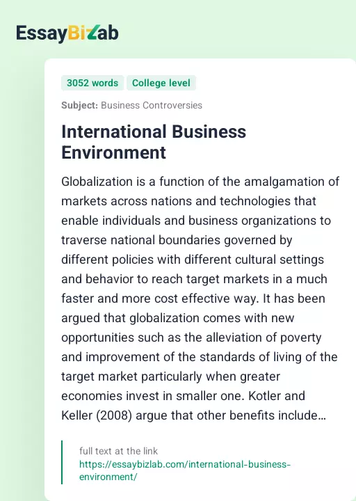 International Business Environment - Essay Preview