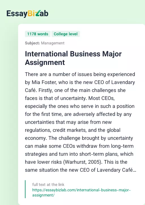 International Business Major Assignment - Essay Preview