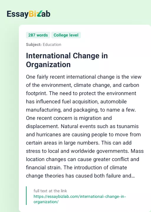 International Change in Organization - Essay Preview