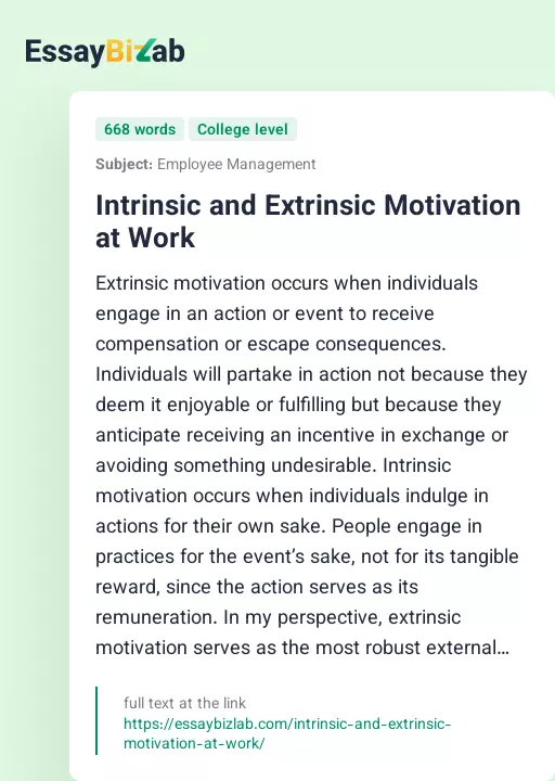 Intrinsic and Extrinsic Motivation at Work - Essay Preview