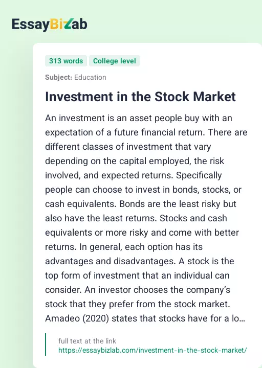 Investment in the Stock Market - Essay Preview