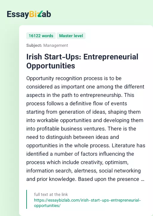 Irish Start-Ups: Entrepreneurial Opportunities - Essay Preview