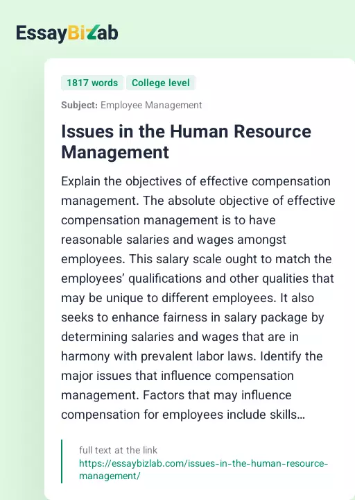 Issues in the Human Resource Management - Essay Preview