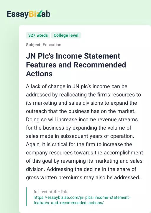 JN Plc's Income Statement Features and Recommended Actions - Essay Preview