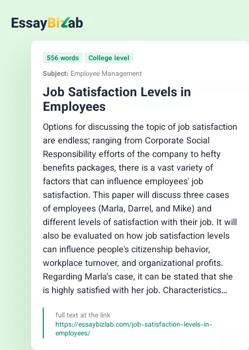 Job Satisfaction Levels in Employees - Essay Preview