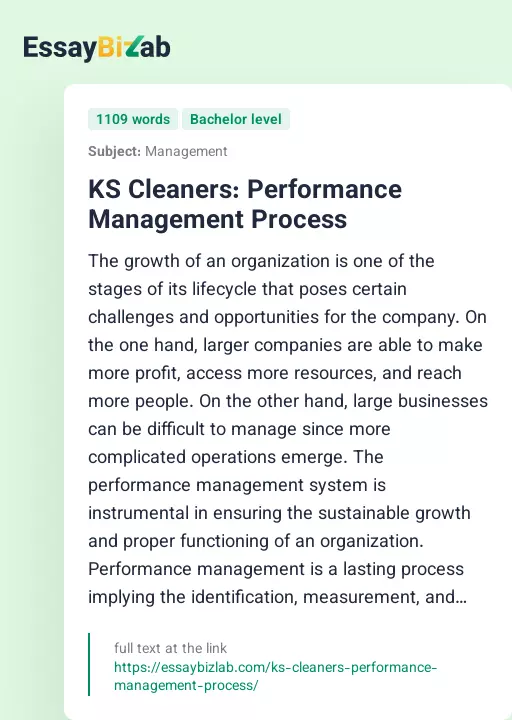 KS Cleaners: Performance Management Process - Essay Preview