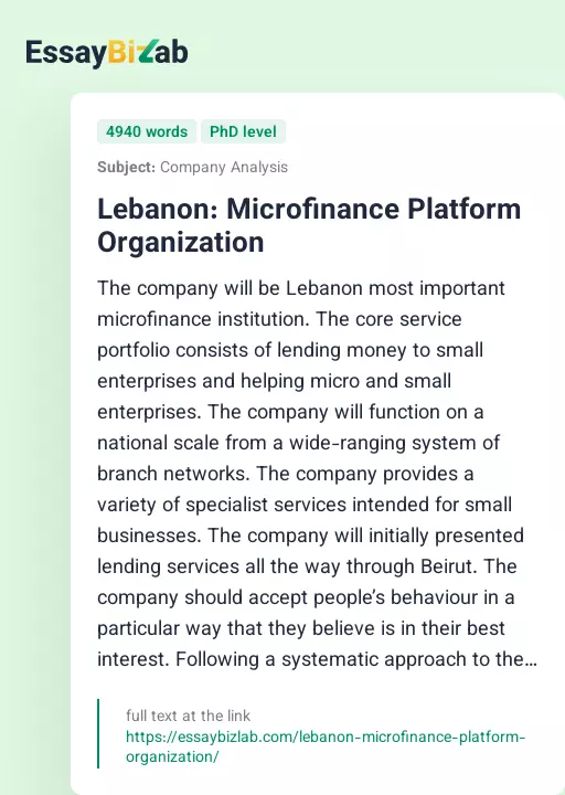 Lebanon: Microfinance Platform Organization - Essay Preview