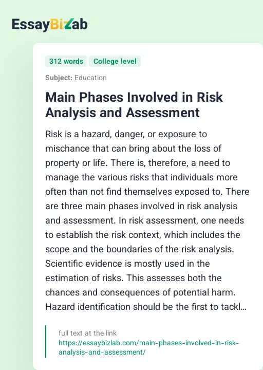 Main Phases Involved in Risk Analysis and Assessment - Essay Preview