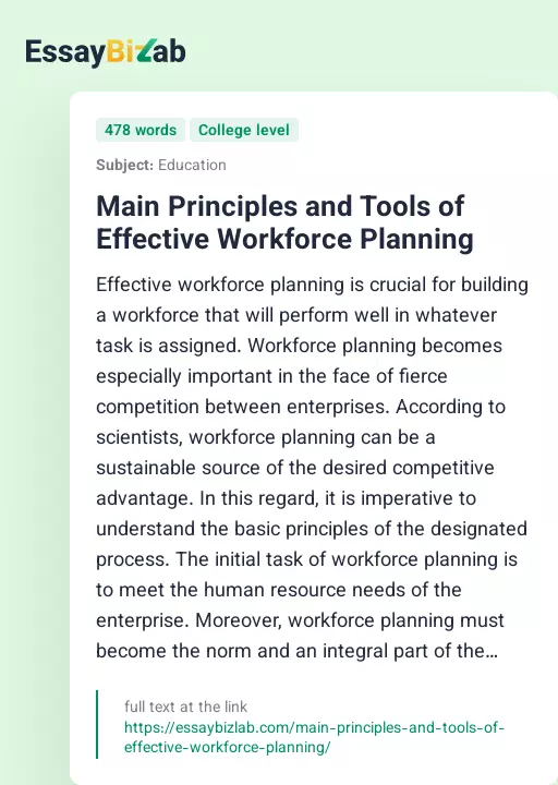 Main Principles and Tools of Effective Workforce Planning - Essay Preview