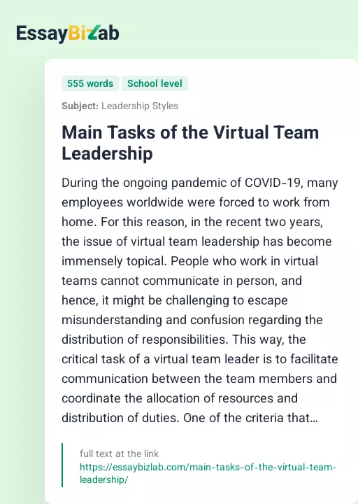 Main Tasks of the Virtual Team Leadership - Essay Preview