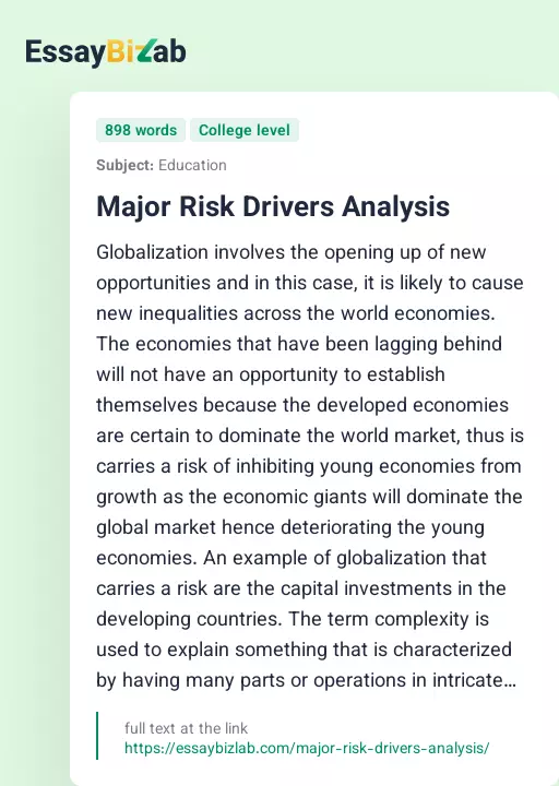 Major Risk Drivers Analysis - Essay Preview