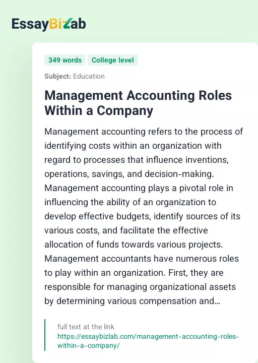 Management Accounting Roles Within a Company - Essay Preview