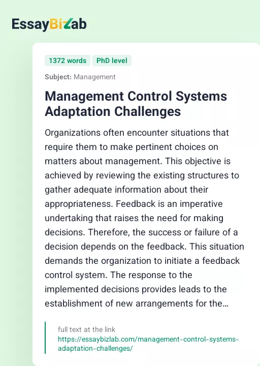 Management Control Systems Adaptation Challenges - Essay Preview