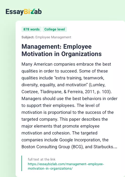 Management: Employee Motivation in Organizations - Essay Preview