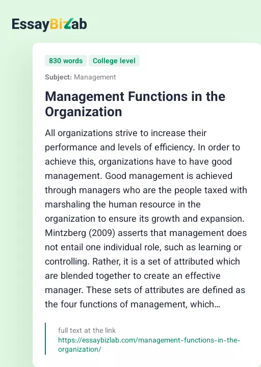 Management Functions in the Organization - Essay Preview