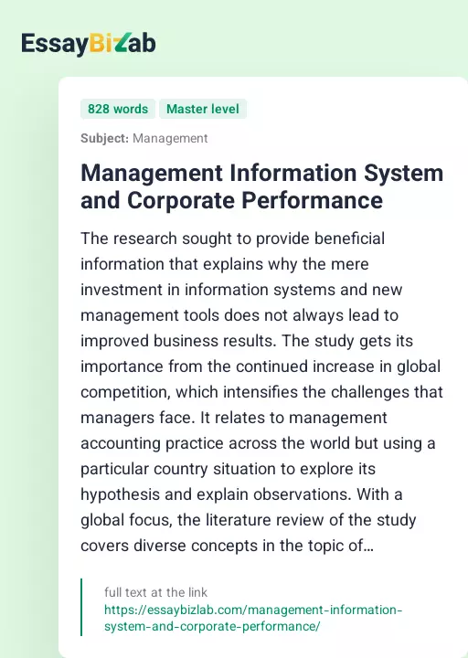 Management Information System and Corporate Performance - Essay Preview