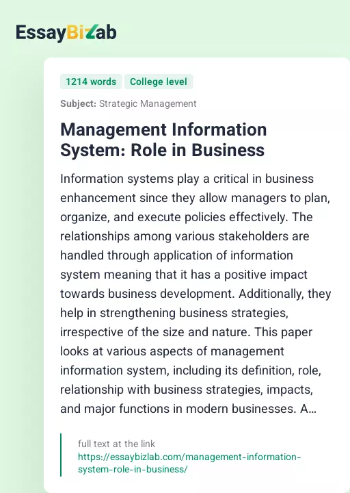 Management Information System: Role in Business - Essay Preview