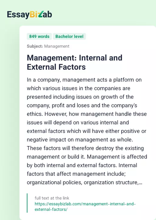 Management: Internal and External Factors - Essay Preview