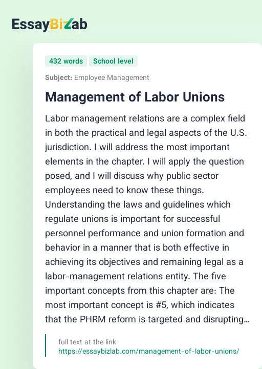 Management of Labor Unions - Essay Preview