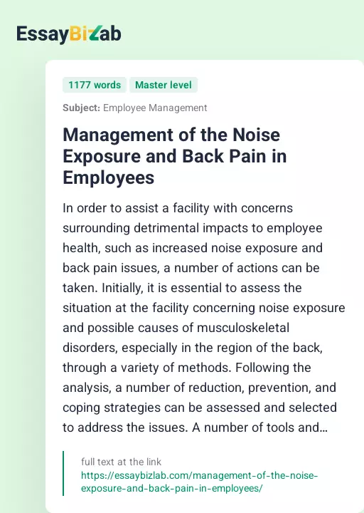 Management of the Noise Exposure and Back Pain in Employees - Essay Preview