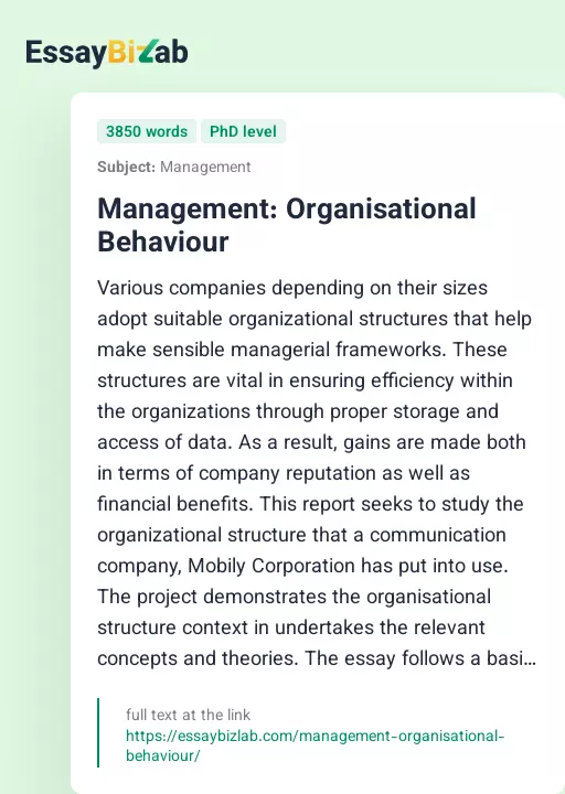 Management: Organisational Behaviour - Essay Preview