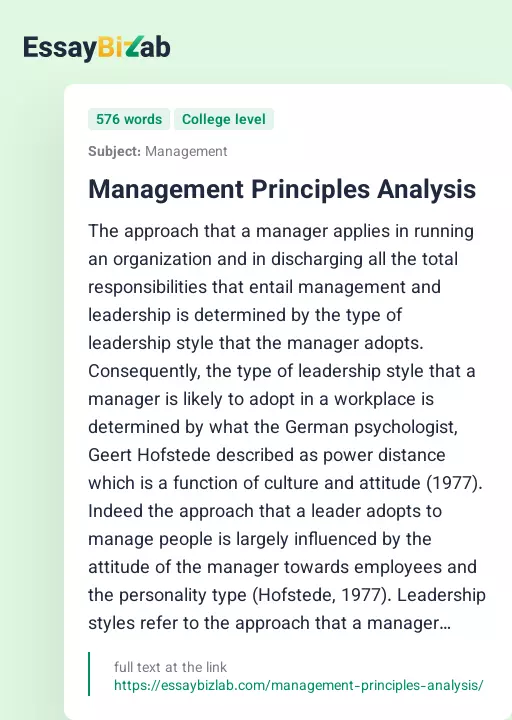 Management Principles Analysis - Essay Preview