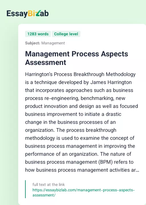 Management Process Aspects Assessment - Essay Preview