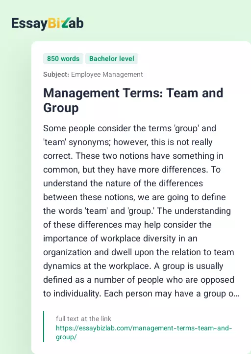 Management Terms: Team and Group - Essay Preview