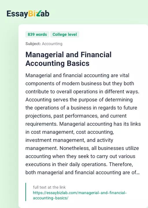 Managerial and Financial Accounting Basics - Essay Preview