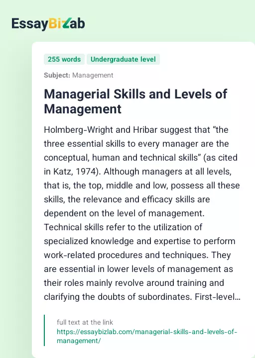 Managerial Skills and Levels of Management - Essay Preview