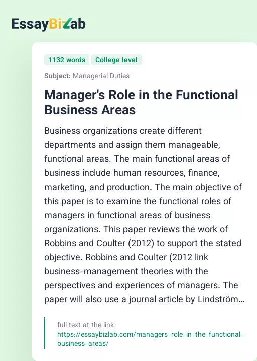 Manager's Role in the Functional Business Areas - Essay Preview