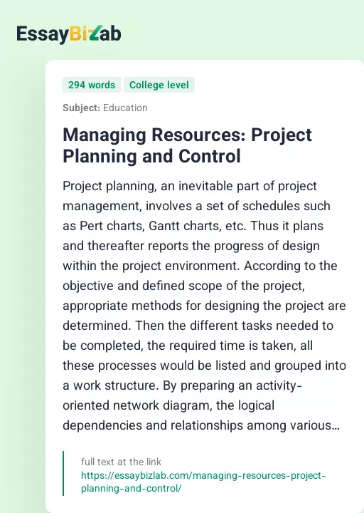 Managing Resources: Project Planning and Control - Essay Preview