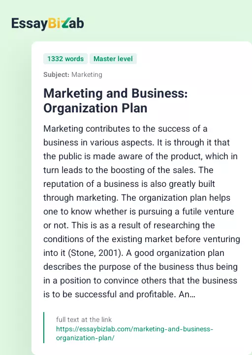 Marketing and Business: Organization Plan - Essay Preview