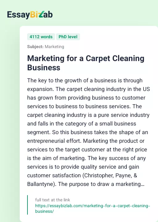 Marketing for a Carpet Cleaning Business - Essay Preview