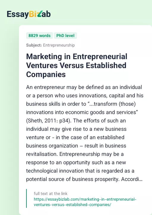 Marketing in Entrepreneurial Ventures Versus Established Companies - Essay Preview