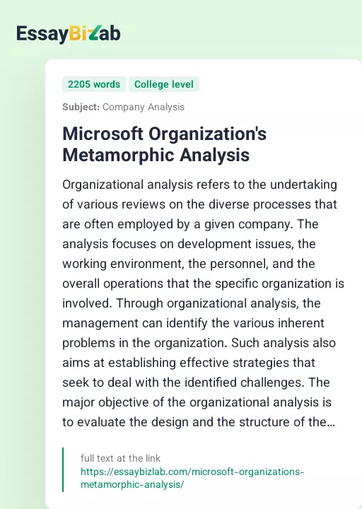 Microsoft Organization's Metamorphic Analysis - Essay Preview