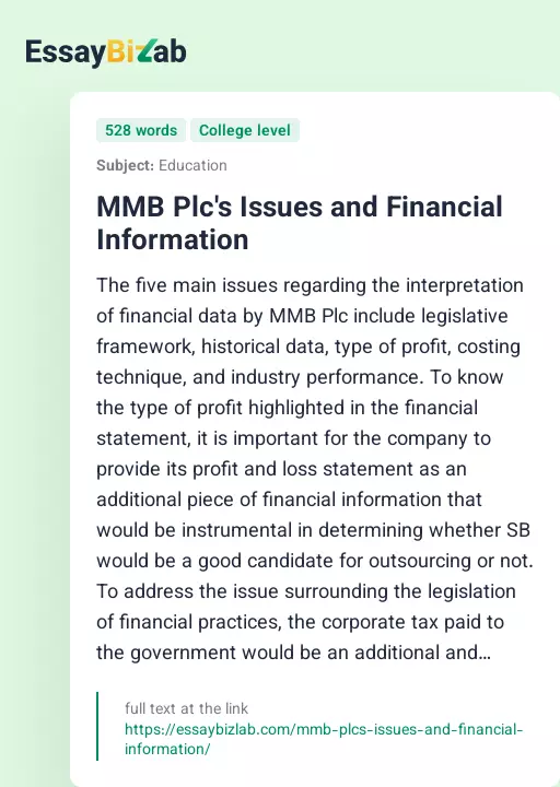 MMB Plc's Issues and Financial Information - Essay Preview