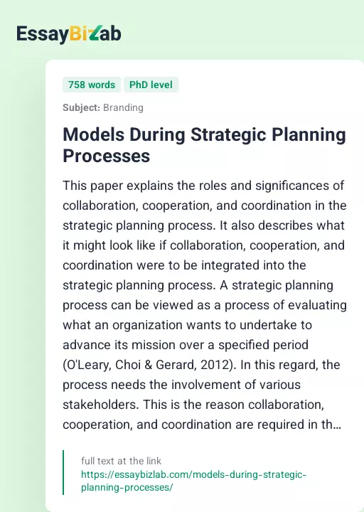 Models During Strategic Planning Processes - Essay Preview