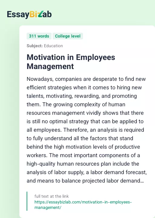 Motivation in Employees Management - Essay Preview