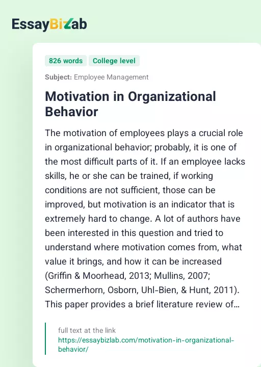 Motivation in Organizational Behavior - Essay Preview