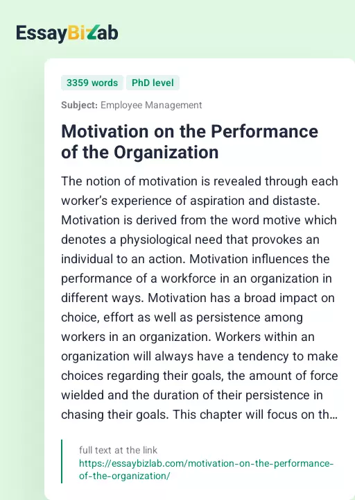 Motivation on the Performance of the Organization - Essay Preview