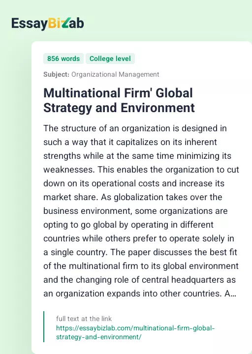 Multinational Firm' Global Strategy and Environment - Essay Preview