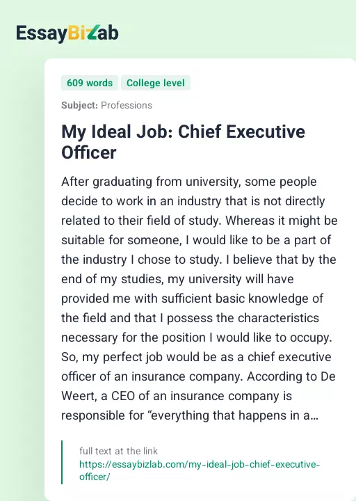 My Ideal Job: Chief Executive Officer - Essay Preview