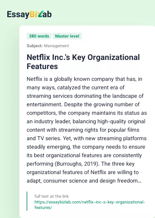 Netflix Inc.'s Key Organizational Features - Essay Preview