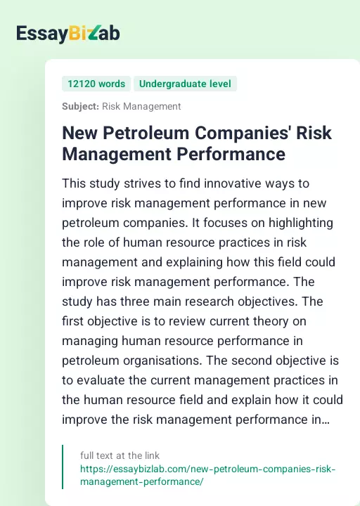 New Petroleum Companies' Risk Management Performance - Essay Preview