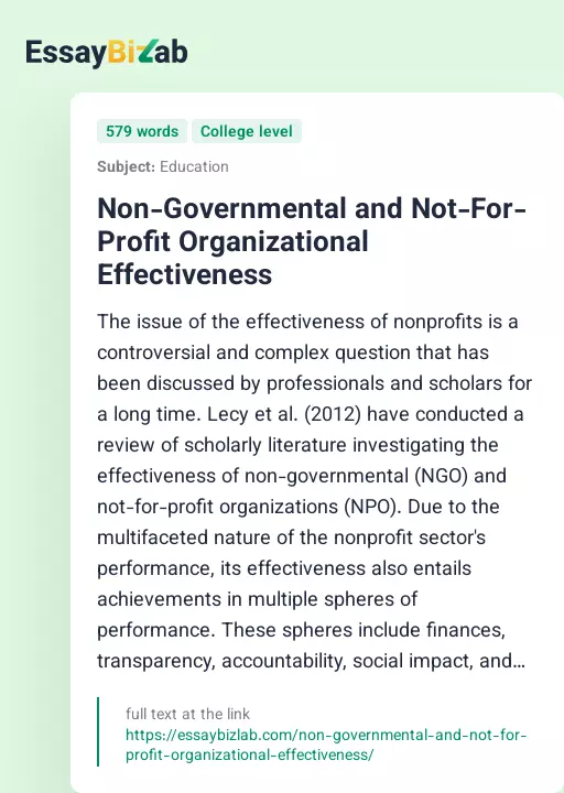 Non-Governmental and Not-For-Profit Organizational Effectiveness - Essay Preview